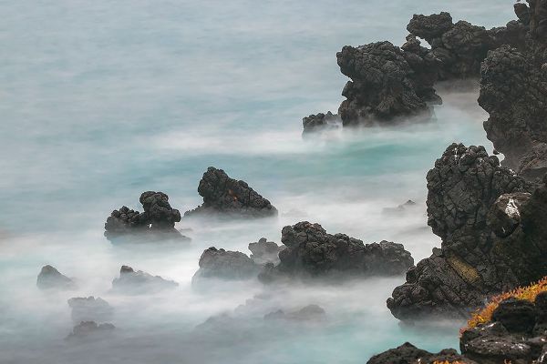 Jones, Adam 아티스트의 Rocky shoreline of South Plaza Island-Galapagos Islands-Ecuador작품입니다.